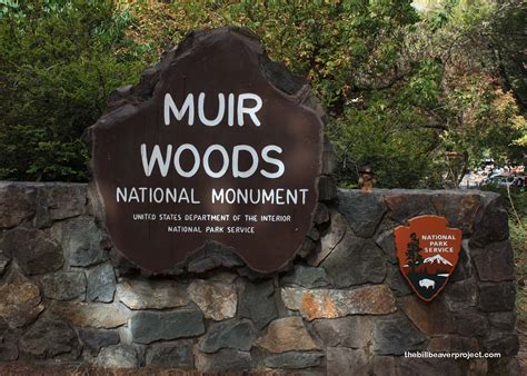 Muir Woods National Monument! - The Bill Beaver Project