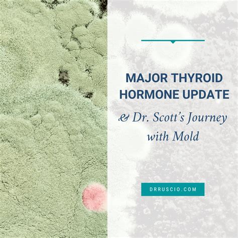 Major Thyroid Hormone Update And Dr Scott’s Journey With Mold Dr Michael Ruscio Dc