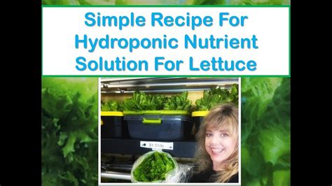 Simple Recipe For Hydroponic Nutrient Solution For Lettuce Youtube