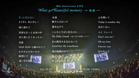 ZARD 30th Anniversary LIVE What a beautiful memory 軌跡 付属BD 2022BDISO