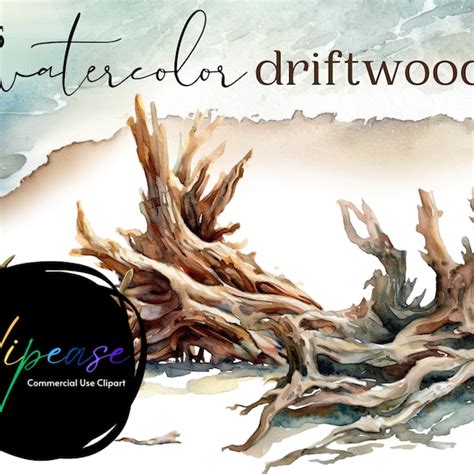 Driftwood Wall Art - Etsy