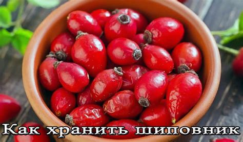 Сколько и как хранить шиповник на зиму (сушеный, замороженный)