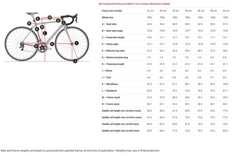 Trek Size Chart Atelier Yuwa Ciao Jp