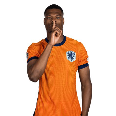 Denzel Dumfries Stats Netherlands Uefa Euro 2024