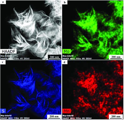 Stem Haadf Eds Elemental Mapping Of Mn Doped Mos High Angle Annular