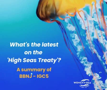 High Seas Treaty Bbnj