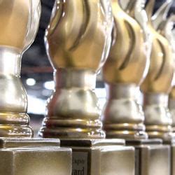 The Best Award Winning Hot Sauces Of The Year Hot Sauce Fever