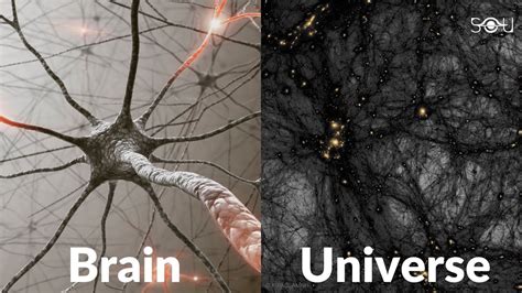 How Our Brain Is A Mini Model Of The Universe Youtube