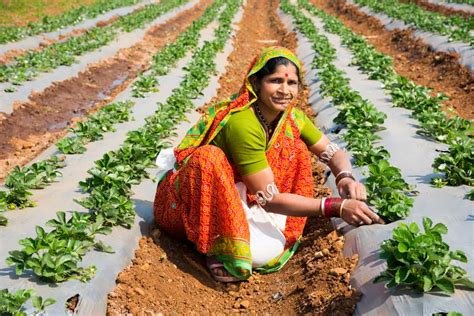 Different Types of Agriculture Subsidy In India: List of Farming Subsidy Schemes by Government ...