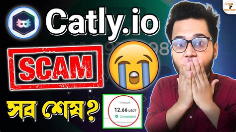 OMG Catly Io Scam For Everyone Catly Io Scam Or Legit Catly Io