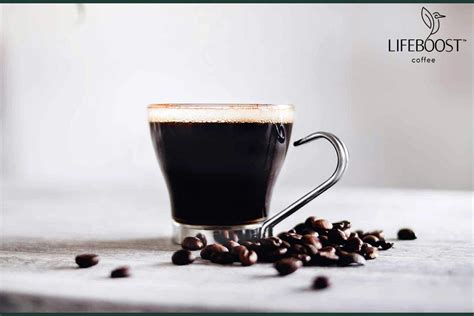 The ULTIMATE Guide to the Best Starbucks Drinks in 2023 | Lifeboost Coffee