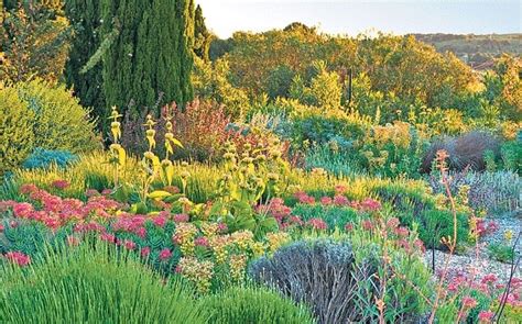 Climate Change How To Create A Dry But Dazzling Garden