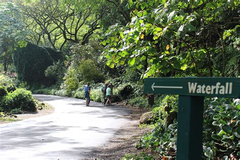 3 Reasons the Waimea Valley Botanical Garden Is One-Of-A-Kind - Waimea ...