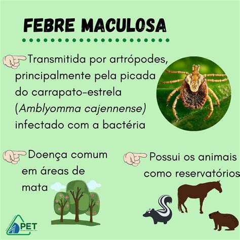 Febre Maculosa