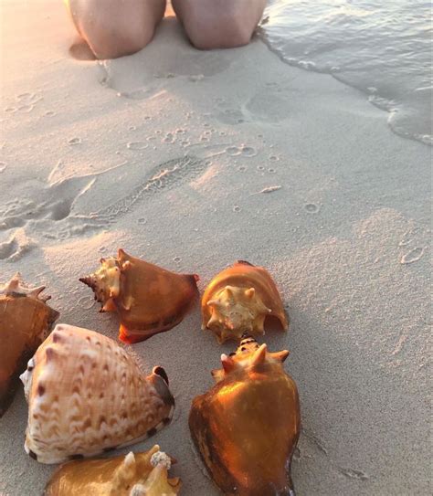 She Sells Seashells By The Seashore Sea Shells She Sells Seashells