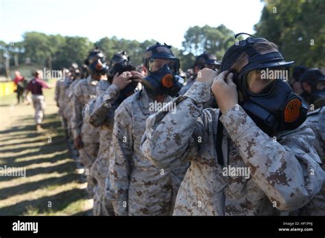 Recruits Of Papa Company 4th Recruit Training Battalion Adjust Their