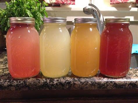 Tibicos (Water Kefir) | Edible Kansas City