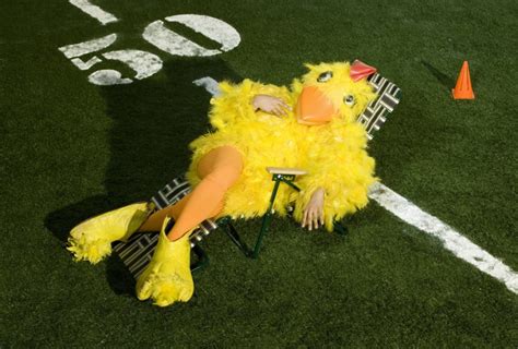 7 Weirdest College Mascots in California | BestColleges