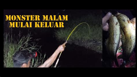 CARA MANCING LEMBAT MALAM HARI MANCING LEMBAT YouTube