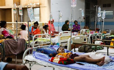 Bangladesh Nearly 1000 People Die Of Dengue In Severe Outbreak Bbc News