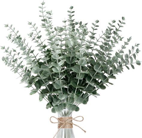 Amazon Onetoy Pcs Eucalyptus Stems Artificial Eucalyptus Leaves