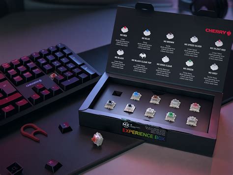 Cherry Unveils Cherry Mx Experience Box And Mx Switch Kit Techpowerup