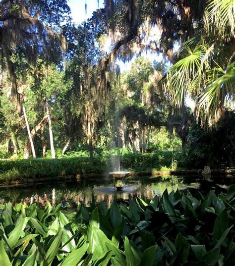 Washington Oaks Gardens State Park | Imagine Our Florida, Inc