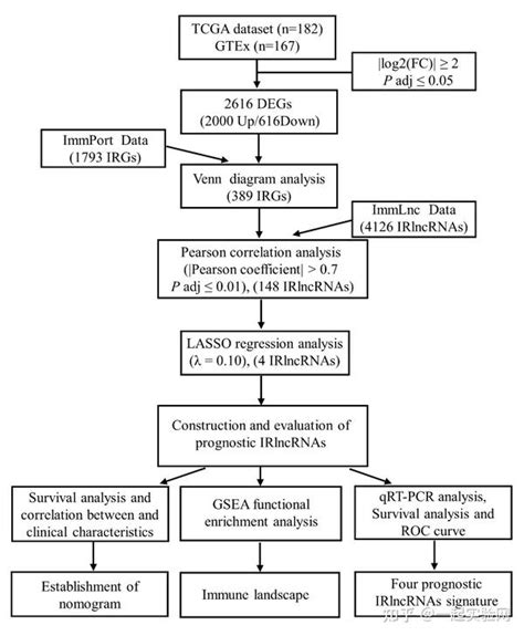 8胰腺癌预后免疫相关lncrna的鉴定 知乎