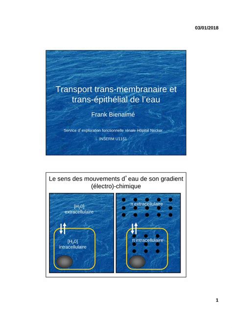 PDF Transport trans membranaire et trans épithélial de leau