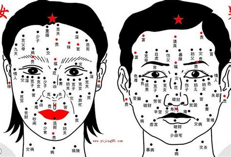 痣相、痣相图解大全淘宝助理