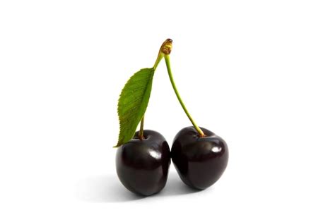 Premium Photo Two Cherries