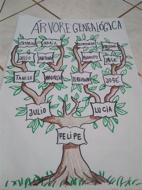 Como Construir Arvore Genealogica