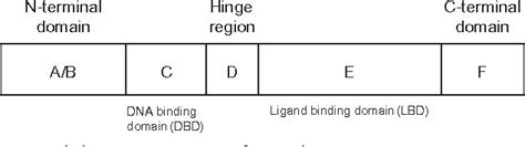 Figure 10 1 From The Emerging Role Of Constitutive Androstane Receptor