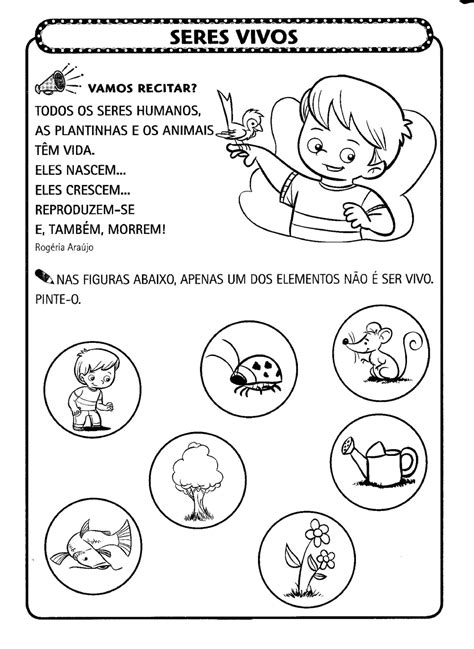 Atividade Seres Vivos 1 Ano - 1° ano - ATIVIDADES DE CIÊNCIAS - Seres vivos e não vivos - Cuca Super ...
