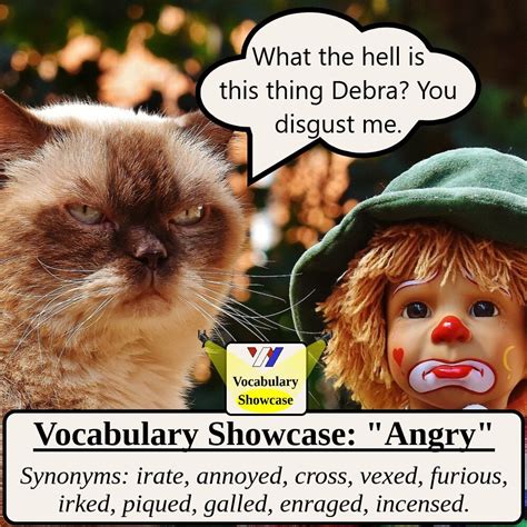 Synonyms For Angry Vocabulary Showcase Wright English