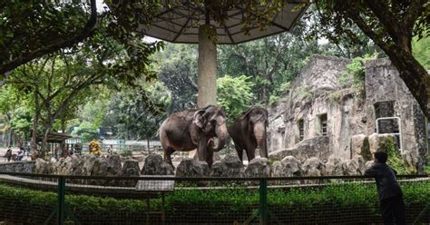 Hypeabis Mau Liburan Ke Taman Margasatwa Ragunan Ini Harga Tiket