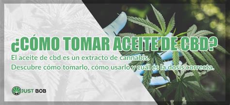 C Mo Tomar La Dosis Correcta De Aceite De Cbd Justbob