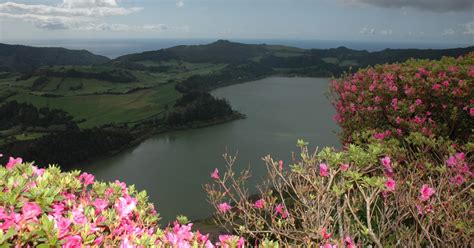 Furnas Lake Volcano Tour Getyourguide