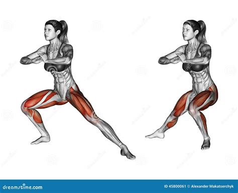 Fitness Exercising. Side Lunges. Female Stock Illustration - Image: 45800061