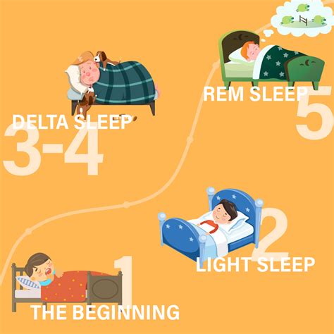 Different Stages Of Sleep Cycle