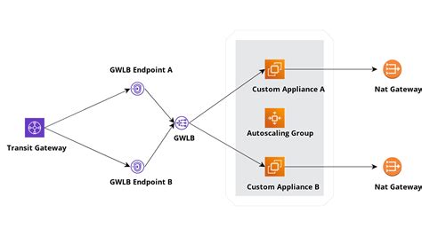 Gateway Load Balancers Build Your Custom Network Appliance On Aws