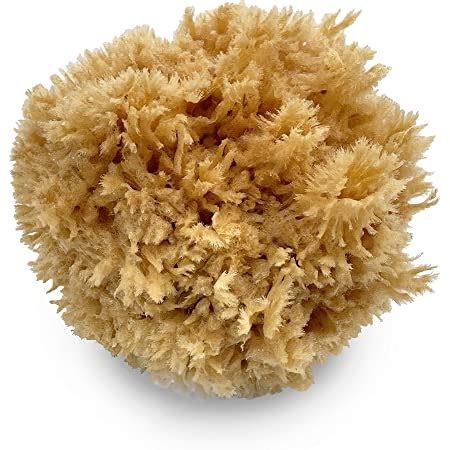 Amazon Natural Sea Synthetic Sponges Assorted Sizes Pc Value