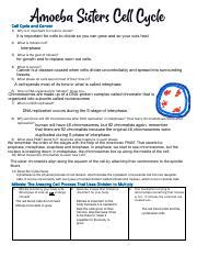 Amoeba Sisters Cell cycle.pdf - Cell Cycle and Cancer 1 Why is it ...