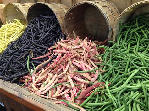 Gambar Menanam Kayu Makanan Hijau Menghasilkan Sayur Mayur