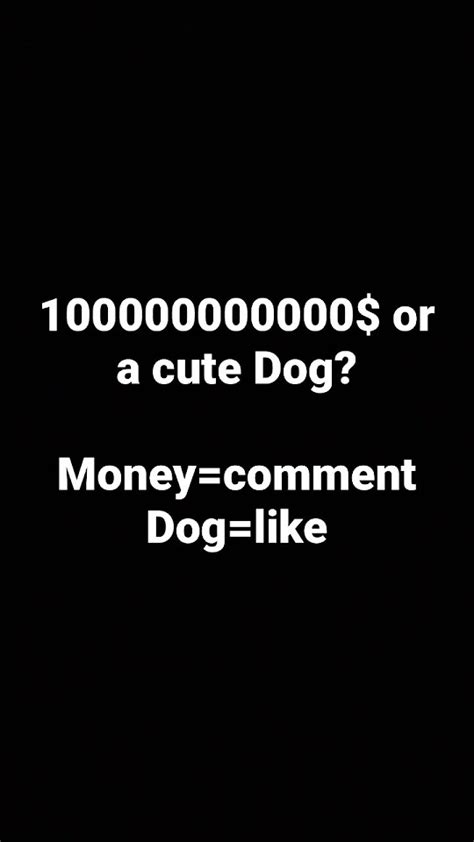 Money 💰 Or Dog 🐶 Youtube