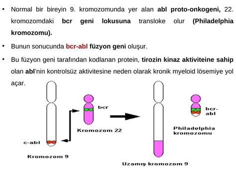 Akademik Sunum