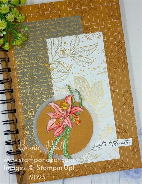 Pin By Stampin Up Independent Hobbie On Notes Of Nature Bundle 2024