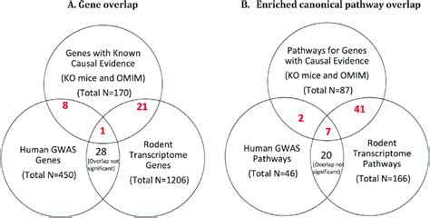 Venn Diagram Of Gene And Pathway Overlaps From Three Categories Of