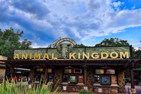 Best Animal Kingdom Restaurants