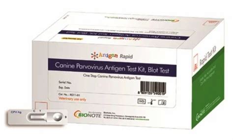 Veterinary Canine Parvovirus Antigen Rapid Test Manufacturer From